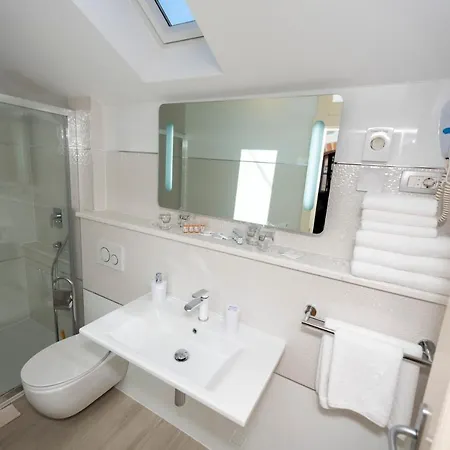 Gothic Palace Heritage בית הארחה ספליט